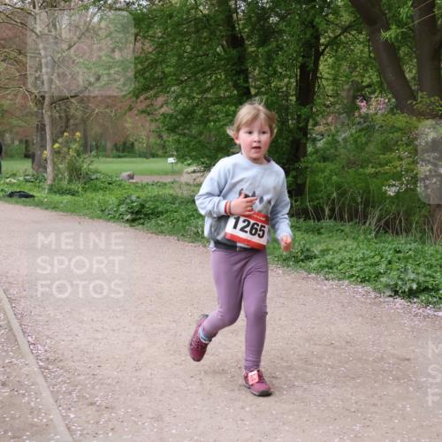 19.04.2026 - Hammer Lauf Lena Gebhardt http://msf.ph/oto/9562975 19.04.2026 09:29:02 Laufen 1265 meine-sportfotos.de