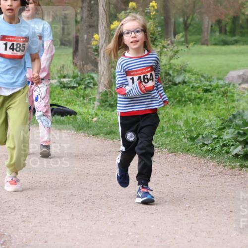 19.04.2026 - Hammer Lauf Lena Gebhardt http://msf.ph/oto/9562984 19.04.2026 09:29:08 Laufen 16, 1485, 16, 464 meine-sportfotos.de