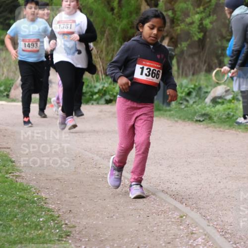 19.04.2026 - Hammer Lauf Lena Gebhardt http://msf.ph/oto/9563009 19.04.2026 09:29:28 Laufen 1493, 1381, 16, 1366 meine-sportfotos.de