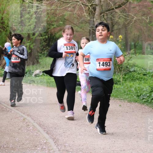 19.04.2026 - Hammer Lauf Lena Gebhardt http://msf.ph/oto/9563013 19.04.2026 09:29:32 Laufen 516, 1387, 16, 1381, 86, 16, 1493 meine-sportfotos.de