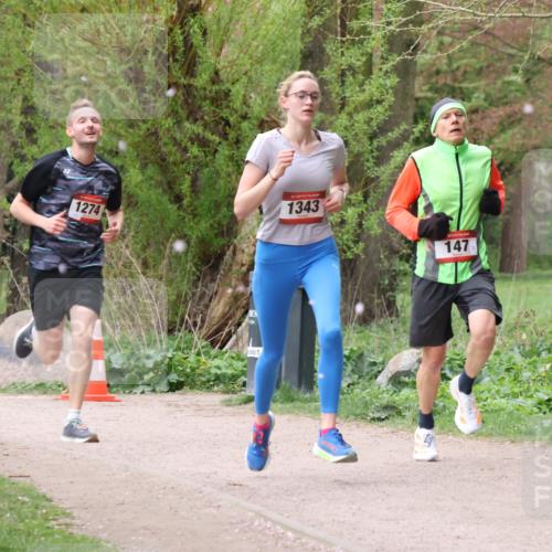 19.04.2026 - Hammer Lauf Lena Gebhardt http://msf.ph/oto/9563092 19.04.2026 10:03:24 Laufen 1274, 1343, 147 meine-sportfotos.de
