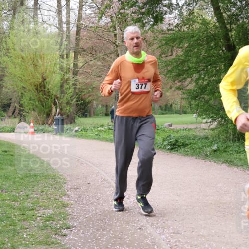 19.04.2026 - Hammer Lauf Lena Gebhardt http://msf.ph/oto/9563316 19.04.2026 10:07:38 Laufen 99, 377, 16, 1724 meine-sportfotos.de
