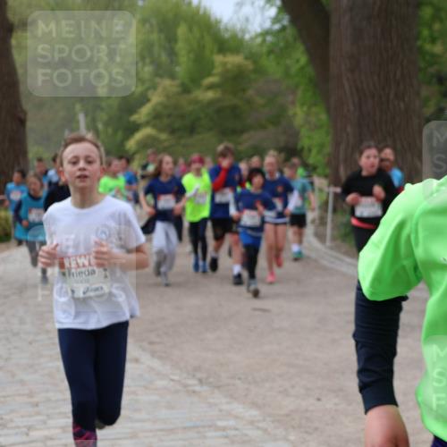 25.04.2026 - Das Zehntel Zöllner http://msf.ph/oto/9595134 25.04.2026 10:41:13 Laufen 5000, 7306 meine-sportfotos.de