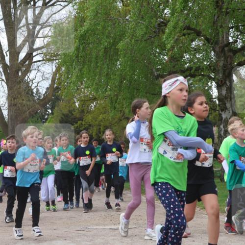 25.04.2026 - Das Zehntel Zöllner http://msf.ph/oto/9612709 25.04.2026 09:46:42 Laufen 5 meine-sportfotos.de