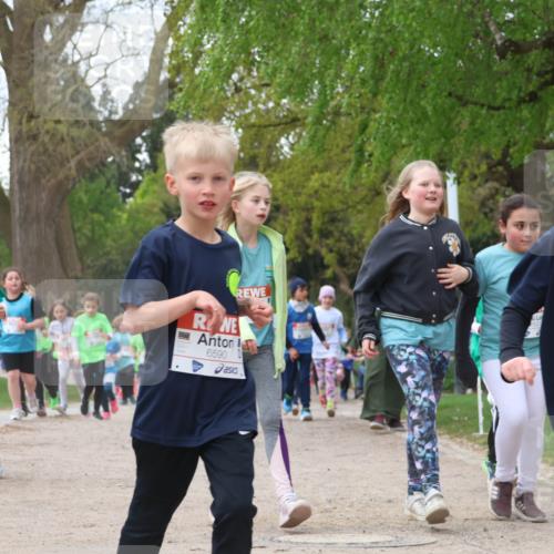 25.04.2026 - Das Zehntel Zöllner http://msf.ph/oto/9613723 25.04.2026 09:47:21 Laufen 7285, 6590, 6598 meine-sportfotos.de
