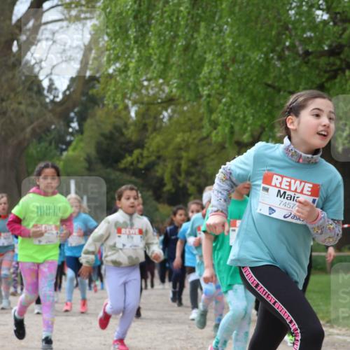 25.04.2026 - Das Zehntel Zöllner http://msf.ph/oto/9616660 25.04.2026 09:49:13 Laufen 7457 meine-sportfotos.de