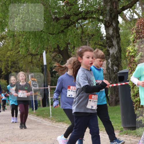 25.04.2026 - Das Zehntel Zöllner http://msf.ph/oto/9616970 25.04.2026 09:49:26 Laufen 505, 5944, 500 meine-sportfotos.de