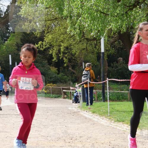 25.04.2026 - Das Zehntel Zöllner http://msf.ph/oto/9618241 25.04.2026 09:50:21 Laufen 5050 meine-sportfotos.de
