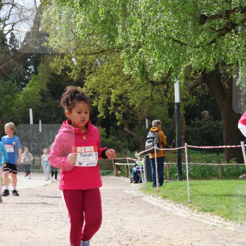 25.04.2026 - Das Zehntel Zöllner http://msf.ph/oto/9618251 25.04.2026 09:50:21 Laufen 5050 meine-sportfotos.de