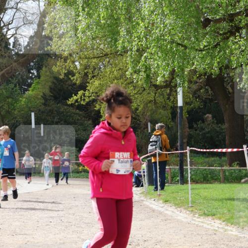 25.04.2026 - Das Zehntel Zöllner http://msf.ph/oto/9618261 25.04.2026 09:50:22 Laufen 20, 5050 meine-sportfotos.de