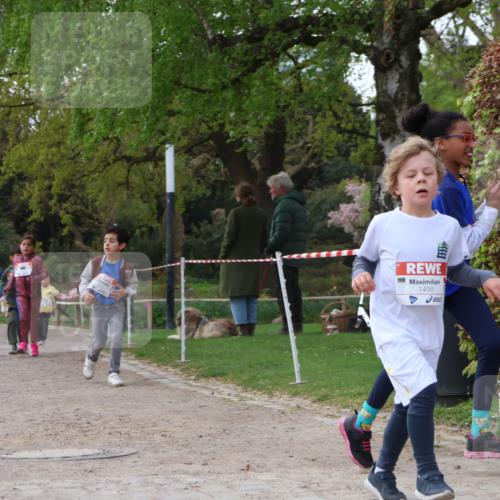 25.04.2026 - Das Zehntel Zöllner http://msf.ph/oto/9658444 25.04.2026 07:48:36 Laufen 1498 meine-sportfotos.de