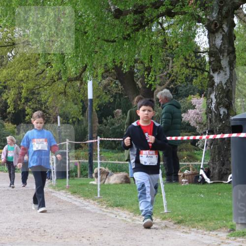 25.04.2026 - Das Zehntel Zöllner http://msf.ph/oto/9659518 25.04.2026 07:49:24 Laufen  meine-sportfotos.de