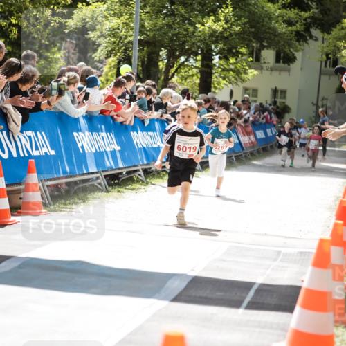 09.05.2026 - Störlauf H.Heesch http://msf.ph/oto/9670084 09.05.2026 13:01:43 Ziel 6019, 267, 6140 meine-sportfotos.de