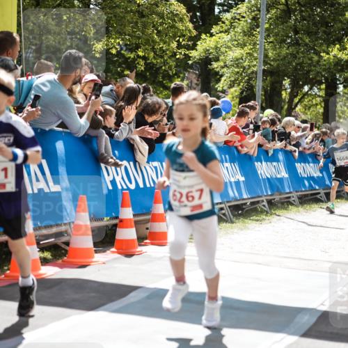 09.05.2026 - Störlauf H.Heesch http://msf.ph/oto/9670091 09.05.2026 13:01:45 Ziel 6011, 6267, 1668, 6237, 6007, 614 meine-sportfotos.de