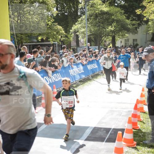 09.05.2026 - Störlauf H.Heesch http://msf.ph/oto/9670174 09.05.2026 13:02:41 Ziel 288 meine-sportfotos.de