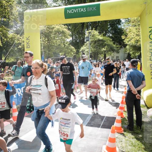 09.05.2026 - Störlauf H.Heesch http://msf.ph/oto/9670268 09.05.2026 13:03:28 Ziel 6048, 167, 2020, 6109, 6003 meine-sportfotos.de
