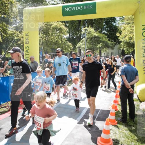 09.05.2026 - Störlauf H.Heesch http://msf.ph/oto/9670273 09.05.2026 13:03:30 Ziel 781, 6078, 6075, 6097, 003 meine-sportfotos.de
