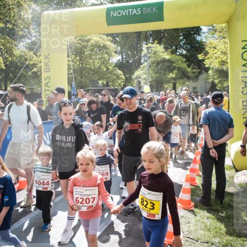 09.05.2026 - Störlauf H.Heesch http://msf.ph/oto/9670319 09.05.2026 13:03:52 Ziel 69, 6213, 6044, 6207, 823, 6155 meine-sportfotos.de