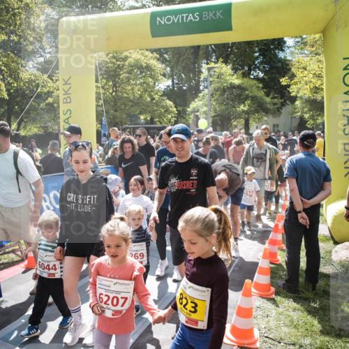 09.05.2026 - Störlauf H.Heesch http://msf.ph/oto/9670320 09.05.2026 13:03:52 Ziel 6213, 269, 6044, 2026, 6207, 2026, 823 meine-sportfotos.de