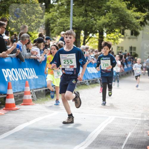 09.05.2026 - Störlauf H.Heesch http://msf.ph/oto/9670565 09.05.2026 13:26:18 Ziel 95, 2026, 255, 230 meine-sportfotos.de