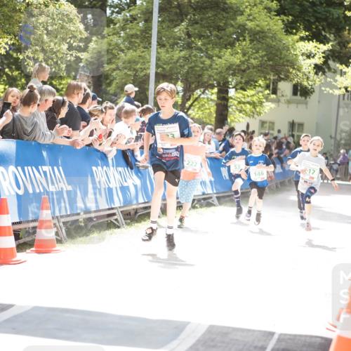 09.05.2026 - Störlauf H.Heesch http://msf.ph/oto/9670597 09.05.2026 13:26:43 Ziel 222, 146, 17 meine-sportfotos.de