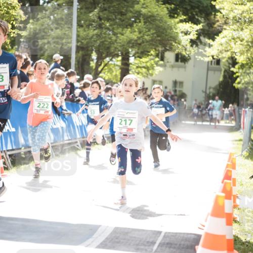 09.05.2026 - Störlauf H.Heesch http://msf.ph/oto/9670599 09.05.2026 13:26:44 Ziel 202, 222, 53, 217 meine-sportfotos.de