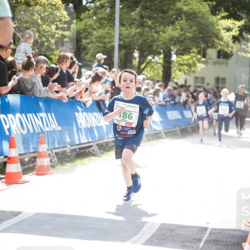 09.05.2026 - Störlauf H.Heesch http://msf.ph/oto/9670609 09.05.2026 13:26:55 Ziel 186 meine-sportfotos.de