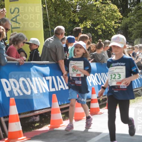 09.05.2026 - Störlauf H.Heesch http://msf.ph/oto/9670725 09.05.2026 13:28:26 Ziel 80, 323 meine-sportfotos.de