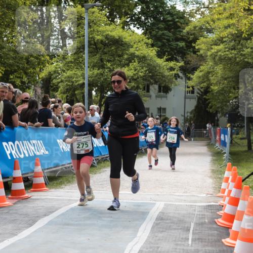 09.05.2026 - Störlauf H.Heesch http://msf.ph/oto/9671063 09.05.2026 13:33:56 Ziel 275 meine-sportfotos.de