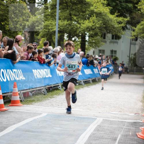 09.05.2026 - Störlauf H.Heesch http://msf.ph/oto/9671135 09.05.2026 13:41:20 Ziel 447 meine-sportfotos.de