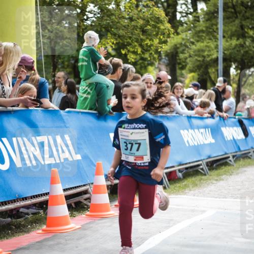 09.05.2026 - Störlauf H.Heesch http://msf.ph/oto/9671315 09.05.2026 13:44:53 Ziel 377 meine-sportfotos.de