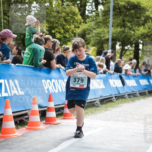 09.05.2026 - Störlauf H.Heesch http://msf.ph/oto/9671322 09.05.2026 13:45:06 Ziel 2026, 379 meine-sportfotos.de