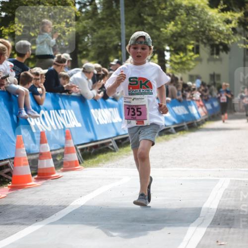 09.05.2026 - Störlauf H.Heesch http://msf.ph/oto/9672730 09.05.2026 13:56:40 Ziel 735 meine-sportfotos.de