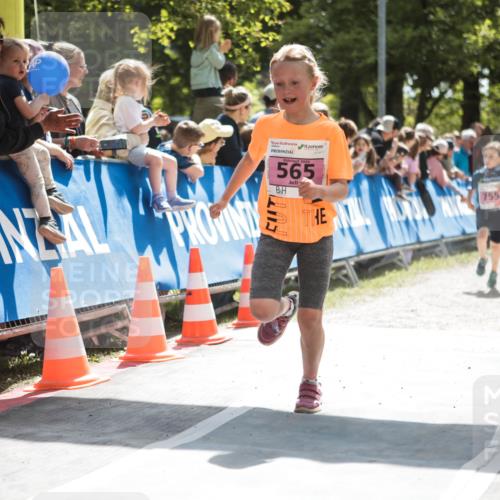 09.05.2026 - Störlauf H.Heesch http://msf.ph/oto/9672770 09.05.2026 13:57:36 Ziel 2026, 565, 755 meine-sportfotos.de