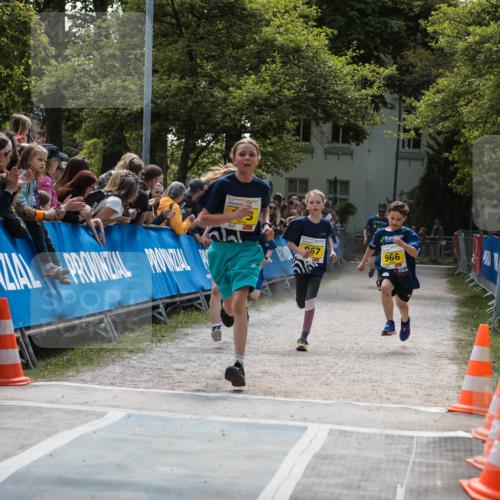 09.05.2026 - Störlauf H.Heesch http://msf.ph/oto/9673223 09.05.2026 14:09:54 Ziel 967, 966 meine-sportfotos.de