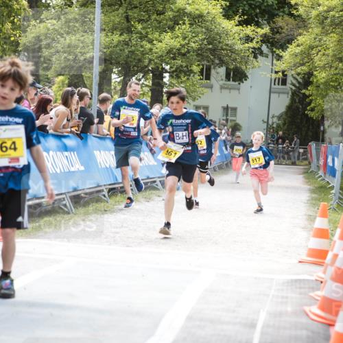 09.05.2026 - Störlauf H.Heesch http://msf.ph/oto/9673277 09.05.2026 14:10:47 Ziel 864, 61, 52, 917 meine-sportfotos.de