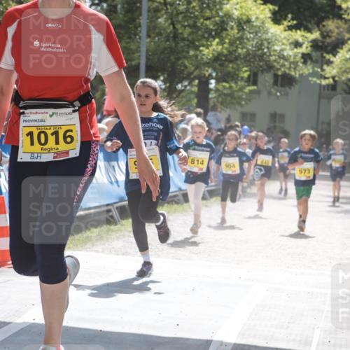 09.05.2026 - Störlauf H.Heesch http://msf.ph/oto/9673419 09.05.2026 14:12:34 Ziel 2026, 1016, 814, 904, 8840, 973 meine-sportfotos.de