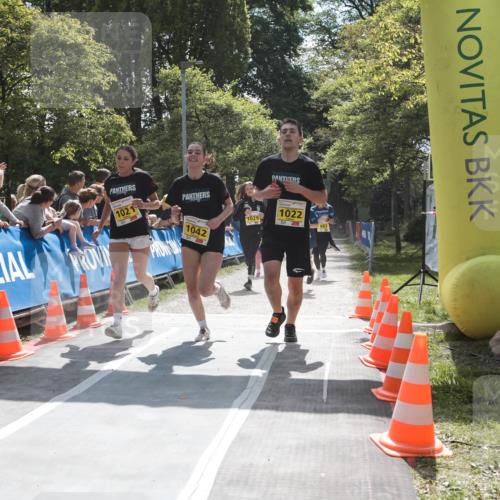 09.05.2026 - Störlauf H.Heesch http://msf.ph/oto/9673454 09.05.2026 14:13:00 Ziel 1021, 1042, 1029, 1022, 963 meine-sportfotos.de