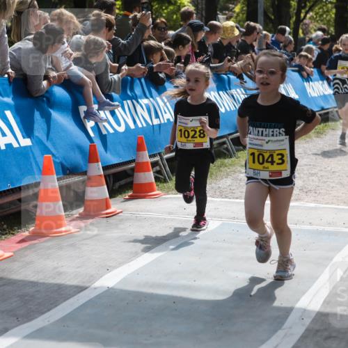 09.05.2026 - Störlauf H.Heesch http://msf.ph/oto/9673540 09.05.2026 14:14:01 Ziel 2026, 1028, 1043, 83, 646 meine-sportfotos.de