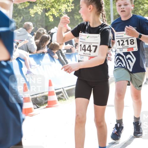 09.05.2026 - Störlauf H.Heesch http://msf.ph/oto/9674270 09.05.2026 14:45:19 Ziel 2025, 1447, 2026, 1218, 4 meine-sportfotos.de