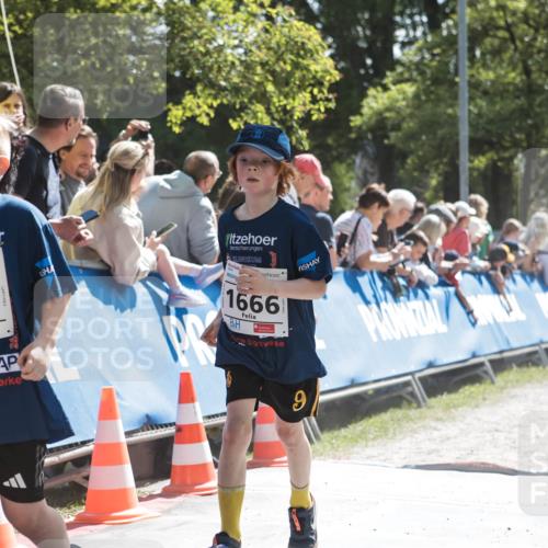 09.05.2026 - Störlauf H.Heesch http://msf.ph/oto/9674390 09.05.2026 14:46:36 Ziel 2026, 1338, 1666, 1387 meine-sportfotos.de