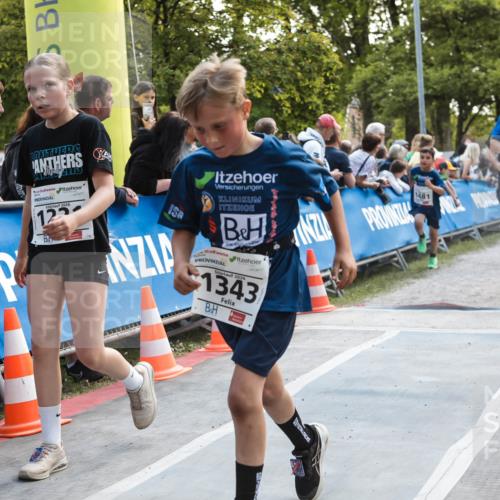 09.05.2026 - Störlauf H.Heesch http://msf.ph/oto/9674582 09.05.2026 14:49:32 Ziel 2026, 12, 2026, 1343, 1481, 1482 meine-sportfotos.de