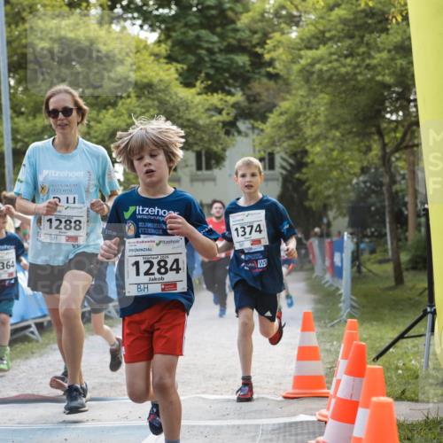 09.05.2026 - Störlauf H.Heesch http://msf.ph/oto/9674657 09.05.2026 14:50:18 Ziel 1364, 1288, 2026, 1284, 1374 meine-sportfotos.de