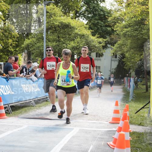 09.05.2026 - Störlauf H.Heesch http://msf.ph/oto/9674919 09.05.2026 14:54:41 Ziel 1246, 1250 meine-sportfotos.de
