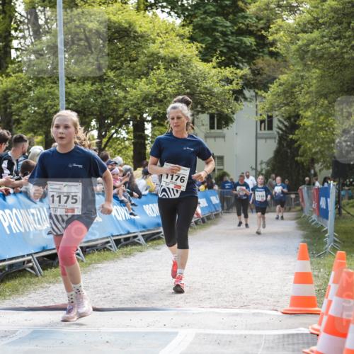 09.05.2026 - Störlauf H.Heesch http://msf.ph/oto/9674979 09.05.2026 14:55:52 Ziel 1175, 11176, 1140 meine-sportfotos.de