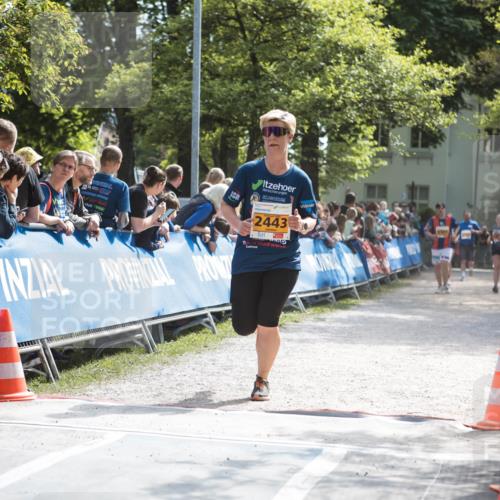 09.05.2026 - Störlauf H.Heesch http://msf.ph/oto/9675858 09.05.2026 15:33:57 Ziel 2443 meine-sportfotos.de