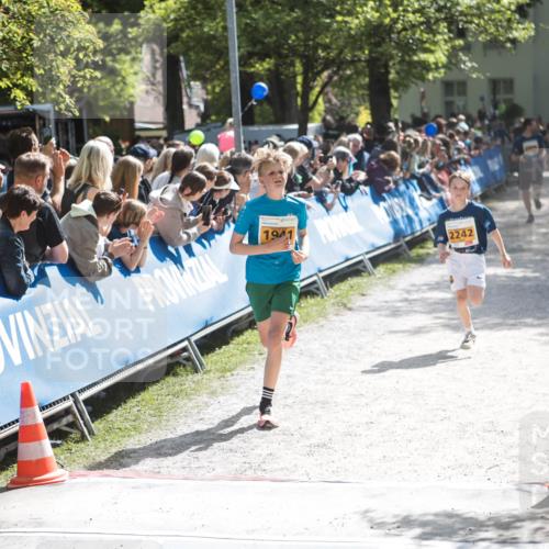 09.05.2026 - Störlauf H.Heesch http://msf.ph/oto/9677818 09.05.2026 15:24:57 Ziel 2242 meine-sportfotos.de