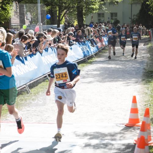 09.05.2026 - Störlauf H.Heesch http://msf.ph/oto/9677826 09.05.2026 15:24:58 Ziel 2242, 2207, 2375 meine-sportfotos.de
