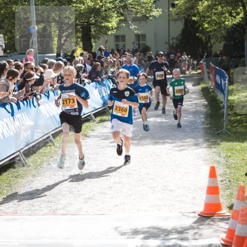 09.05.2026 - Störlauf H.Heesch http://msf.ph/oto/9677929 09.05.2026 15:26:00 Ziel 2173, 2360, 2148, 2251, 2364 meine-sportfotos.de