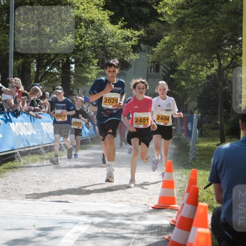 09.05.2026 - Störlauf H.Heesch http://msf.ph/oto/9678510 09.05.2026 15:29:34 Ziel 2465, 2412, 9, 2029, 2401, 2404 meine-sportfotos.de